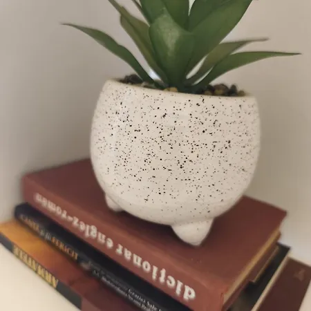 Coltea Cozy Apartment *